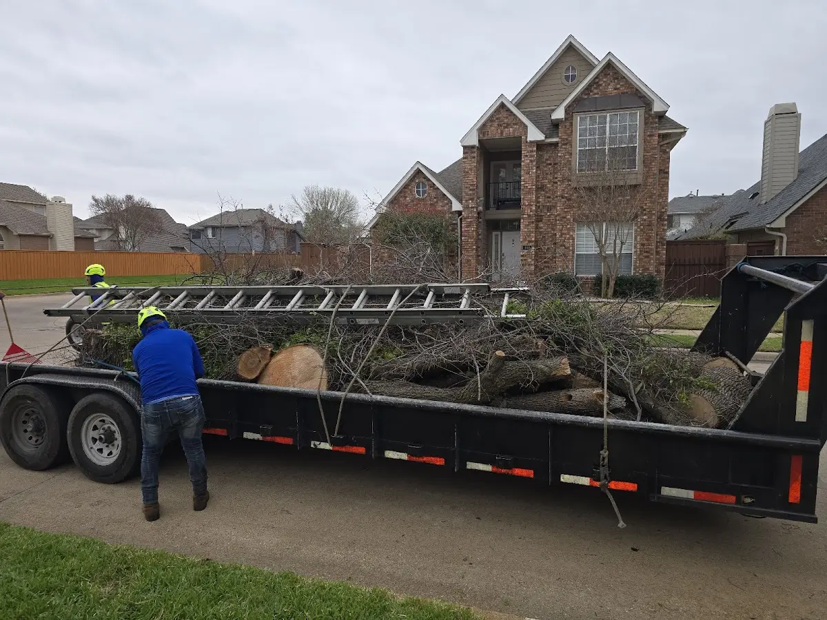 Expert Tree Fertilization with proper safety equipment in Isle La Motte